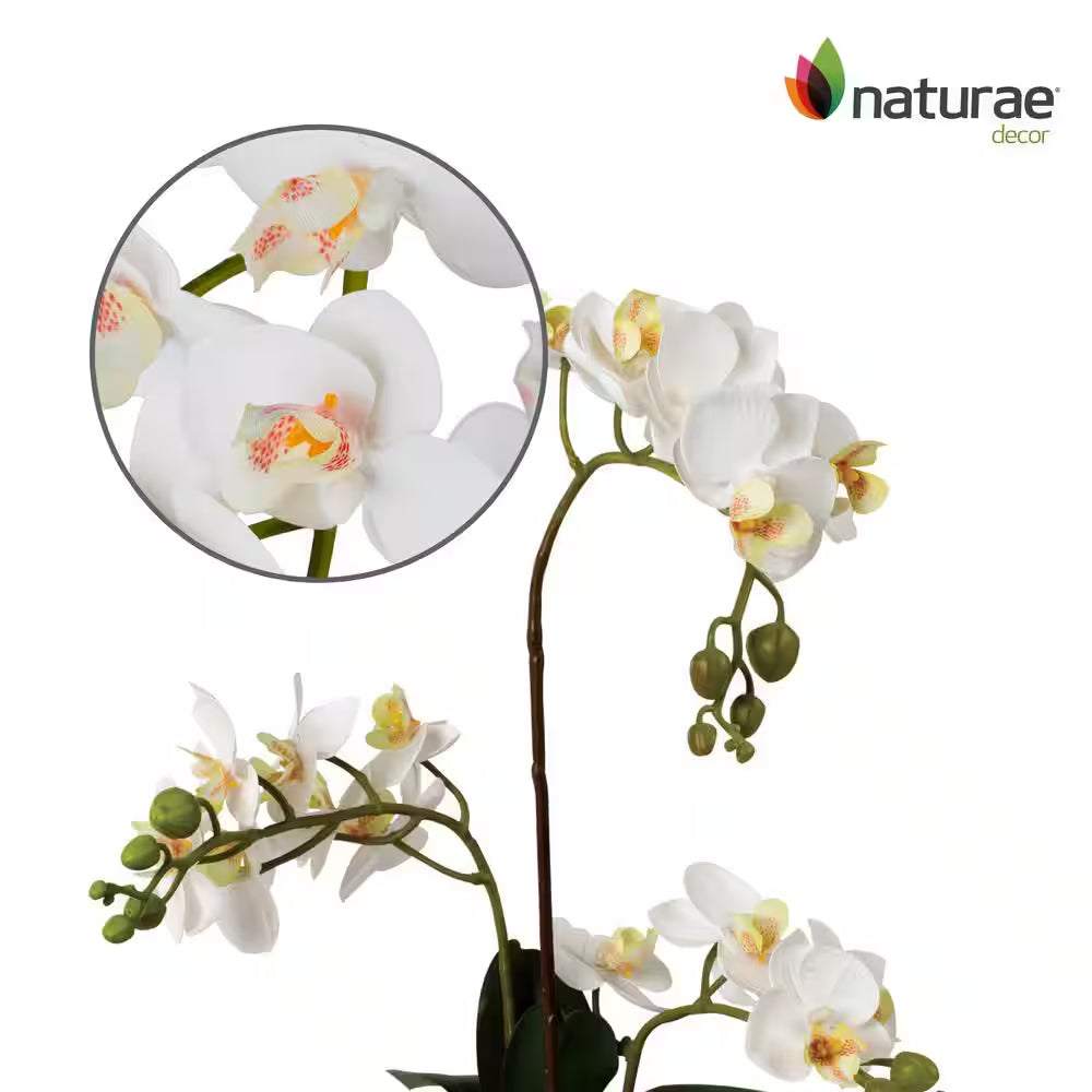 17 In. White Artificial Orchid in White Planter Pot