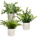 Faux Plants 10'' Faux Plant in Ceramic Pot