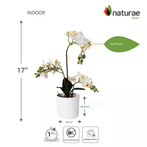 17 In. White Artificial Orchid in White Planter Pot